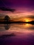 Pink Sunset{ayan.wap.sh}